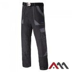 Spodnie do pasa ProCotton Grey 