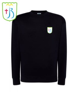 JBM - Bluza MĘSKA 290 JHK - z logo na piersi